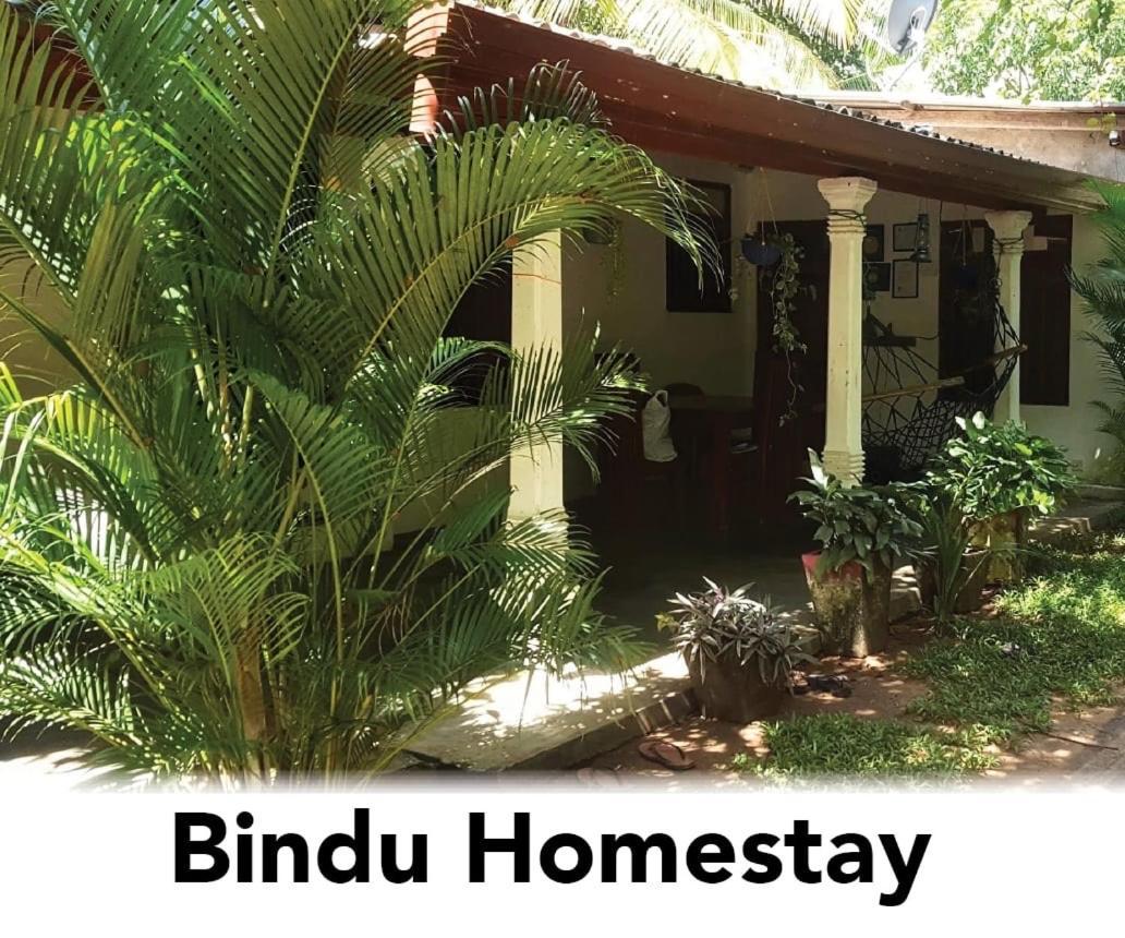 Bindu Homestay Wellawaya Exterior foto